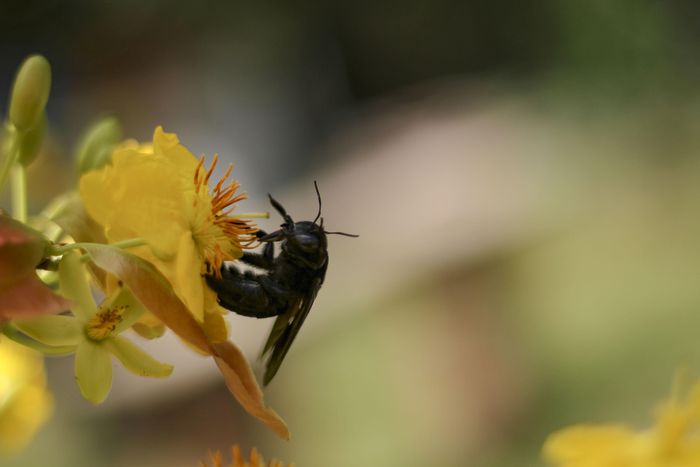 hinh-anh-9-9 hinh-anh-9.jpg