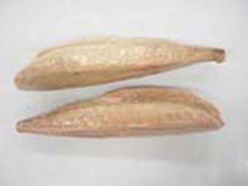 loin-ca-ngu Loin cá ngừ