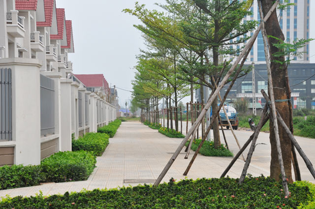 mua-ban-cay-xanh Mua bán cây xanh