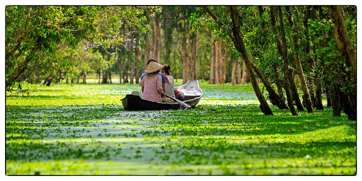 Du lịch Rừng Tràm Trà Sứ, Thiên Cẩm Sơn