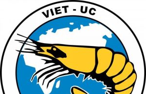 Tuyển dụng Nhân Viên Vi Sinh &pcr Tại Bình Định tại Bình Định