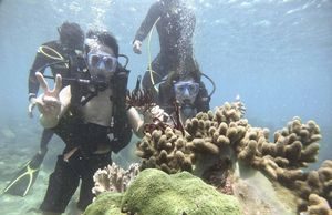 Để tour lặn ngắm san hô trở thành sản phẩm độc đáo (Bài cuối): Cần định hướng lâu dài