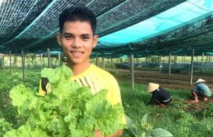 Tự chế thuốc sinh học phòng trừ sâu bệnh hại rau hữu cơ