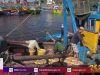 Đầu năm ngư dân Bình Định trúng ruốc biển