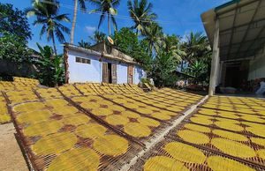 Về xứ dừa Tam Quan thưởng thức món bánh tráng khoai lang