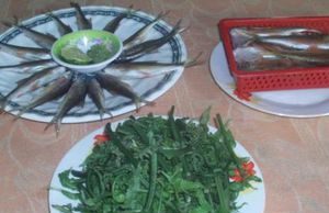 Ăn cá niên, nhớ về đêm đại ngàn