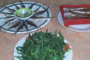Ăn cá niên, nhớ về đêm đại ngàn