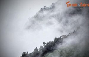 Giải mã chuyện liêu trai bí ẩn trên đèo Bảo Lộc