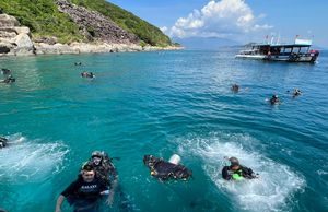 Để tour lặn ngắm san hô trở thành sản phẩm độc đáo (Bài 1): Hấp dẫn hút khách du lịch