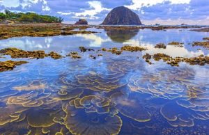 Phú Yên chuẩn bị hồ sơ nộp UNESCO để được công nhận Công viên địa chất toàn cầu