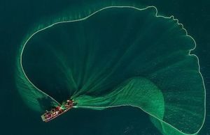 Ngư dân tung lưới đánh cá đầy ấn tượng ở biển Bình Định