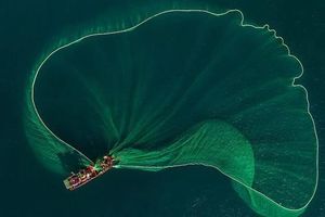 Ngư dân tung lưới đánh cá đầy ấn tượng ở biển Bình Định