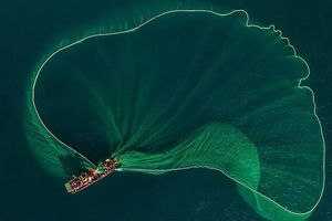 Hình ảnh ngư dân tung lưới đánh cá đầy 'ảo diệu' ở Bình Định