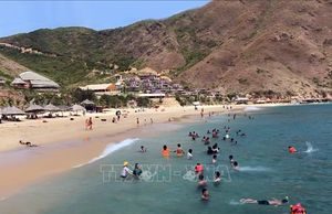 Du lịch Bình Định phục hồi và tăng trưởng nhanh