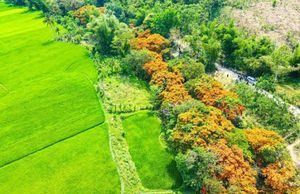 Vĩnh Thạnh – Điểm đến mới của du lịch Bình Định