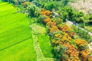 Vĩnh Thạnh – Điểm đến mới của du lịch Bình Định