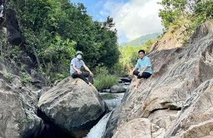 Bình Định: Nguyên sơ suối Lỗ Sổ