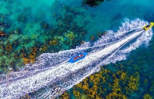 Dấu ấn Hưng Thịnh trên hành trình kiến tạo bất động sản giá trị thật