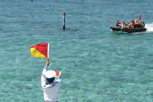 Hoa tiêu nơi đảo chìm