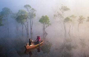 Nhiều cảnh đẹp ở Việt Nam lọt top 100 bức ảnh đẹp và đoạt giải của 35AWARDS