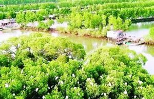 Trải nghiệm Cồn Chim