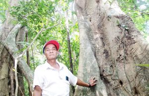 Dân biển giữ rừng