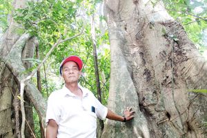 Dân biển giữ rừng