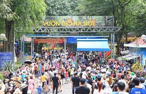 Du lịch hồi sinh mạnh mẽ, các địa phương đón lượng khách ‘khủng’ dịp lễ