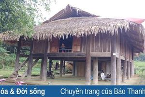 thumnail-227 Bình yên Năng Cát