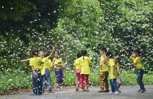 Mở hội đại ngàn Cúc Phương