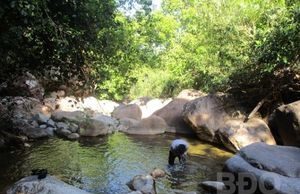 Khám phá suối Hai – Ba – Bốn