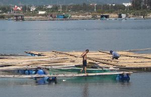 Nghề ‘đục đẽo’ ngoài biển khơi