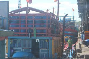 Vượt 'bão giá' kiên trì bám biển