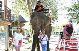 Đắk Lắk xây dựng sản phẩm du lịch đặc sắc để phục vụ du khách