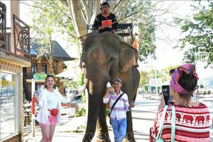 thumnail-299 Đắk Lắk xây dựng sản phẩm du lịch đặc sắc để phục vụ du khách