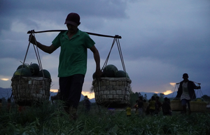 Gánh dưa đêm ở Tây Nguyên