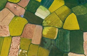 Say lòng vẻ đẹp Bình Định với góc nhìn trên cao