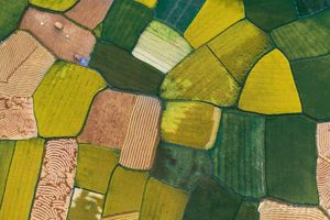 thumnail-317 Say lòng vẻ đẹp Bình Định với góc nhìn trên cao