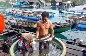 Khai thác ‘mỏ’ thủy sản trên vùng biển Tây Nam