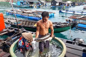 thumnail-333 Khai thác 'mỏ' thủy sản trên vùng biển Tây Nam