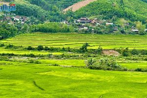 Gần lắm… Ba Xa