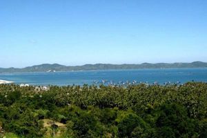 thumnail-345 Đèo Cù Mông