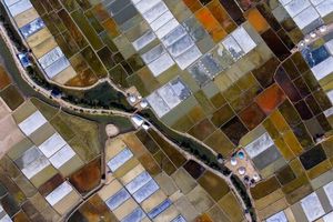 thumnail-347 Đồng muối Đề Gi nổi bật giữa màu xanh của trời và biển Bình Định