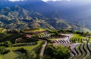 Việt Nam vẫn là điểm đến hấp dẫn với khách quốc tế