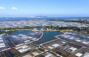 Đồng muối Đề Gi – Bảng màu vẽ của thiên nhiên