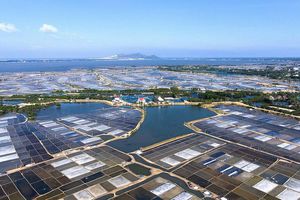 thumnail-368 Đồng muối Đề Gi - Bảng màu vẽ của thiên nhiên