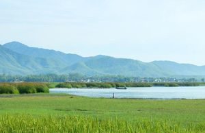 Vẻ đẹp yên bình, hoang sơ của đầm Trà Ổ