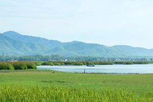 Vẻ đẹp yên bình, hoang sơ của đầm Trà Ổ