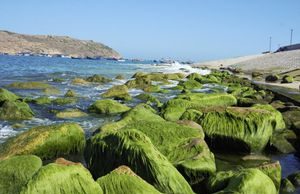 Những bãi đá rêu phong đẹp ngỡ ngàng ven biển miền Trung