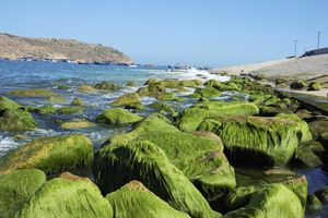 thumnail-388 Những bãi đá rêu phong đẹp ngỡ ngàng ven biển miền Trung